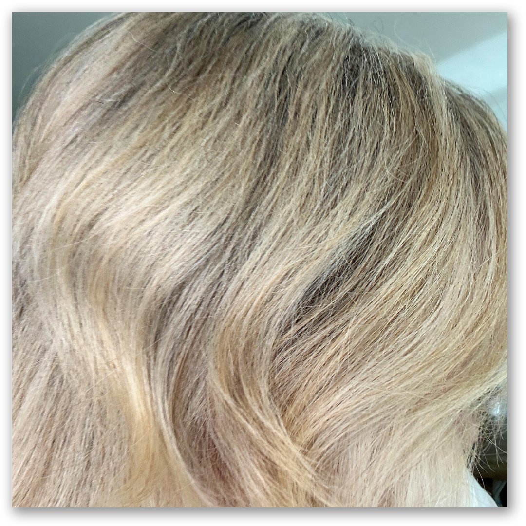 Image 46908641837390 Image 46908641837390